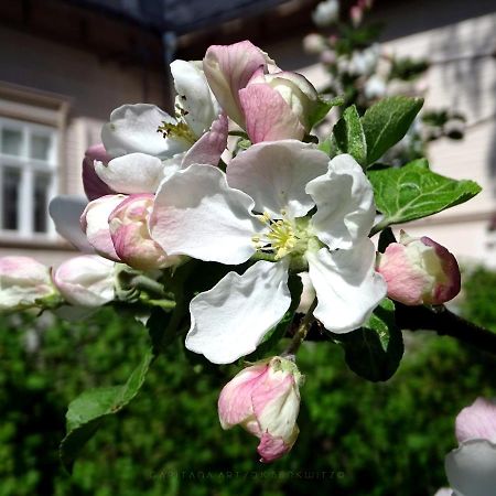 B&B Savikon Kartano Kides Exteriör bild