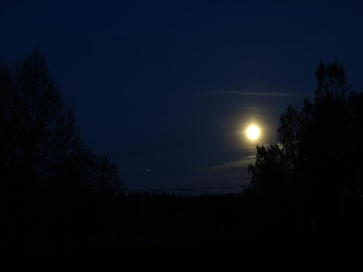 B&B Savikon Kartano Kides Exteriör bild