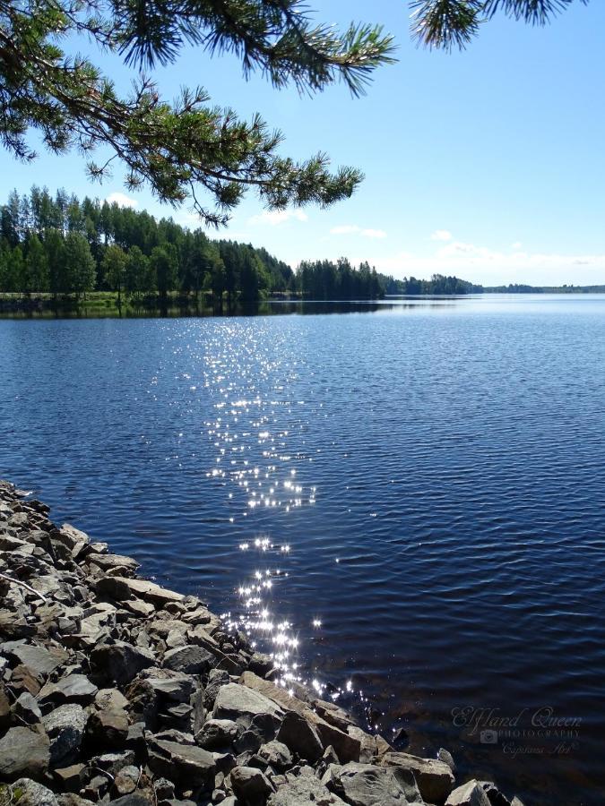 B&B Savikon Kartano Kides Exteriör bild